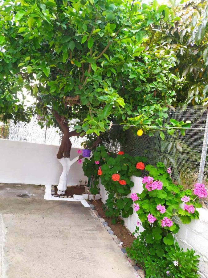 Meimetis Green House Neapoli Voion Ngoại thất bức ảnh